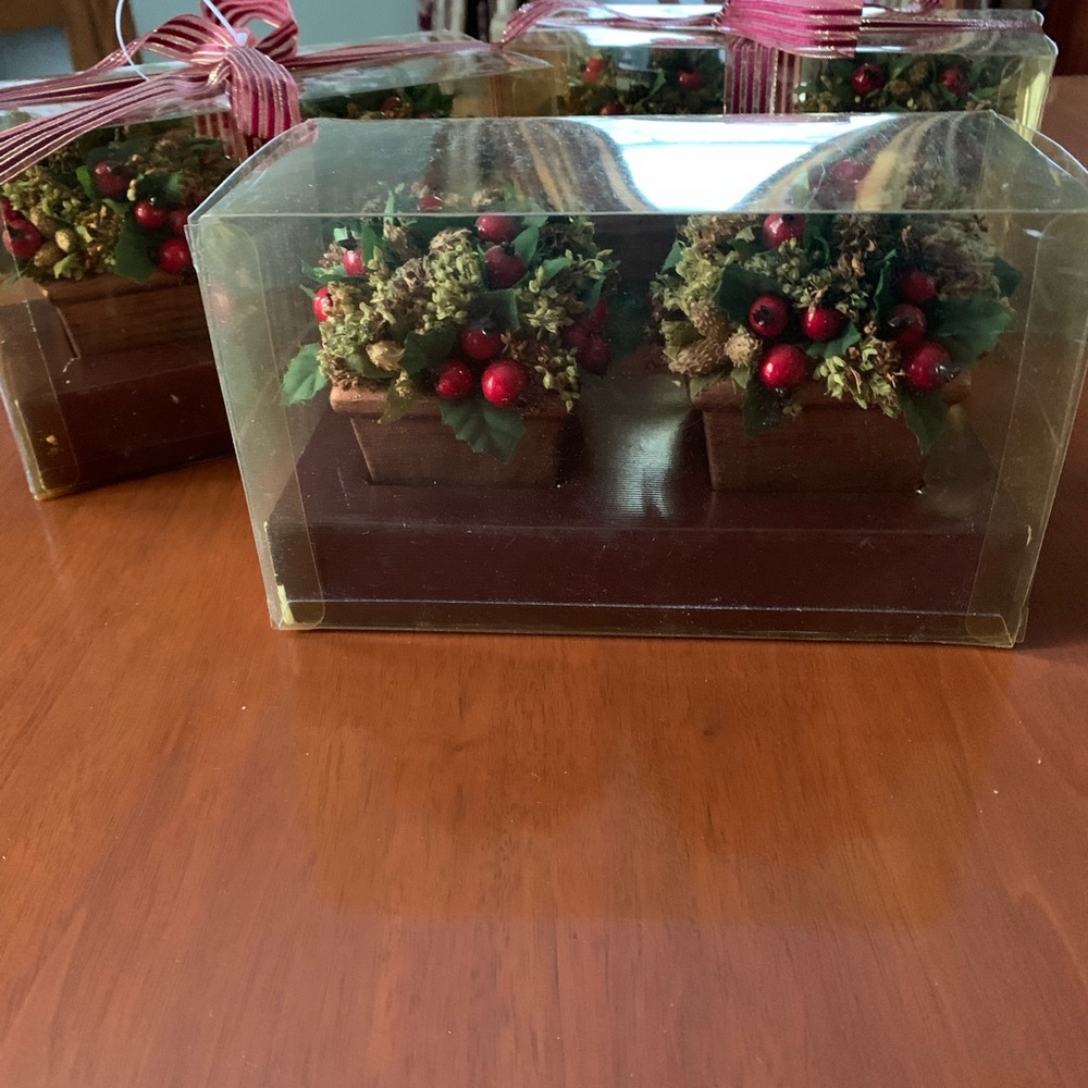 Small Potted Topiaries - Picture 4 of 6